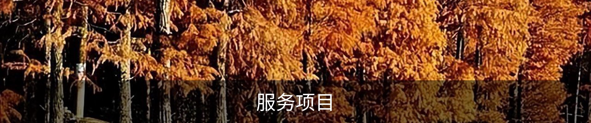 服务项目